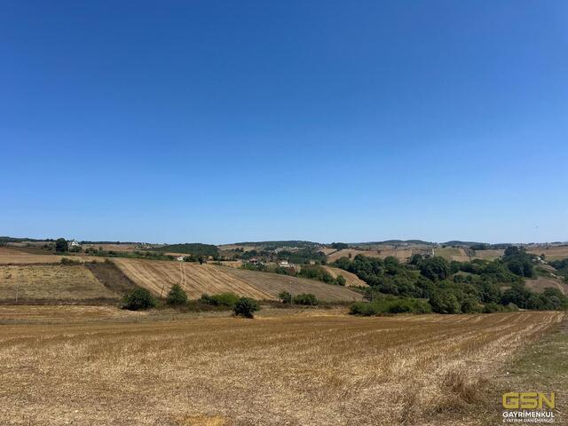 4-DERİNCE TAHTALIDA ASFALTA CEPHE KUPON ARAZİ